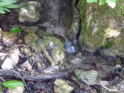Fuente de la Cerca de Bernardino II - imagen 3