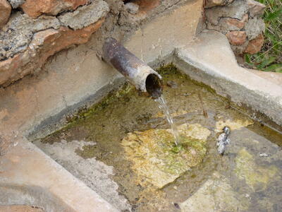 Fuente Mingarraz - imagen 4