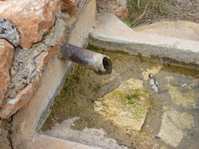 Fuente Mingarraz - imagen 5