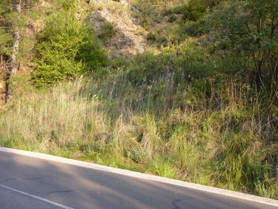 Sin nombre 09082026 - imagen 4