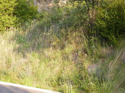 Sin nombre 09082026 - imagen 2