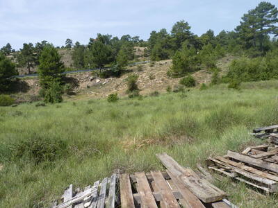Pozo del Arenal - imagen 4