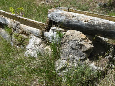 Fuente de las Losas - imagen 7