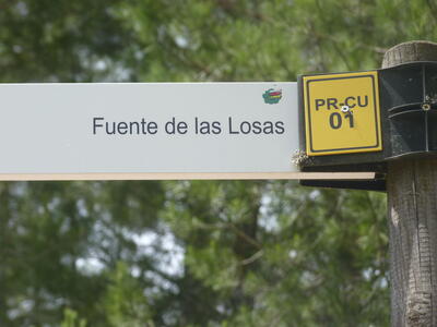Fuente de las Losas - imagen 6