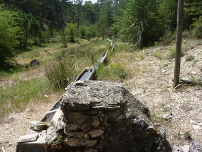 Fuente de las Losas - imagen 5
