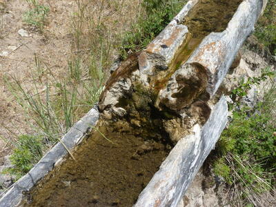 Fuente de las Losas - imagen 8