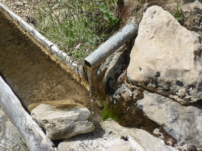 Fuente de las Losas - imagen 3
