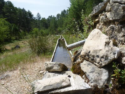 Fuente de las Losas - imagen 4