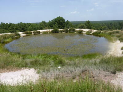 Fuente de los Llanos - imagen 9