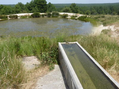 Fuente de los Llanos - imagen 8