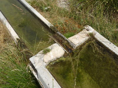 Fuente de los Llanos - imagen 6
