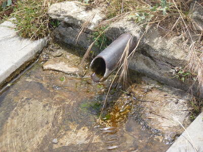 Fuente de los Llanos - imagen 3