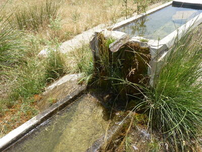Fuente de los Llanos - imagen 7