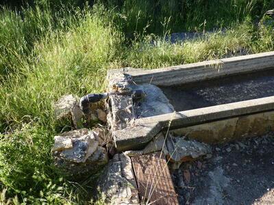 Fuente de Santa Quiteria - imagen 7