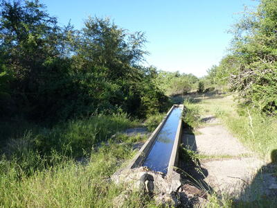 Fuente de Santa Quiteria - imagen 6