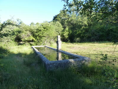 Fuente de Santa Quiteria - imagen 1