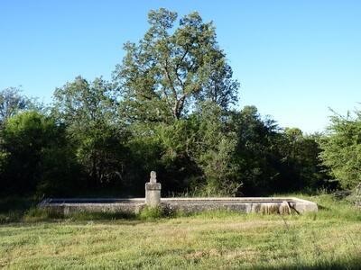 Fuente de Santa Quiteria - imagen 10