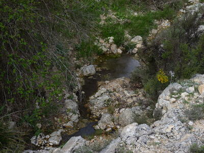 Fuente las Hontecillas I - imagen 7