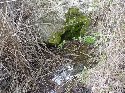 Fuente las Hontecillas I - imagen 4