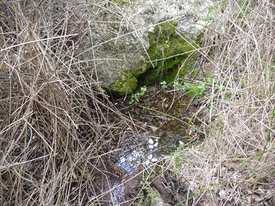 Fuente las Hontecillas I - imagen 3