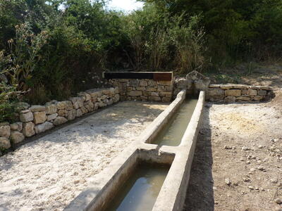 Fuente Megina - imagen 1