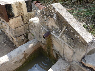 Fuente Megina - imagen 5