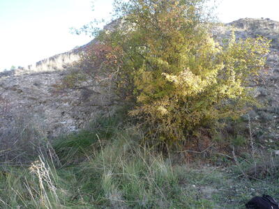 Sin Nombre 04112024 - imagen 1