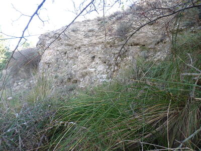 Sin Nombre 04112024 - imagen 4