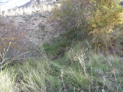 Sin Nombre 04112024 - imagen 3