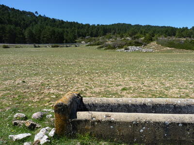 Fuente la Mantequera - imagen 2