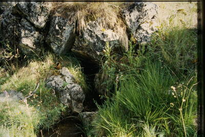 Fuente de la Tía Juana - imagen 1