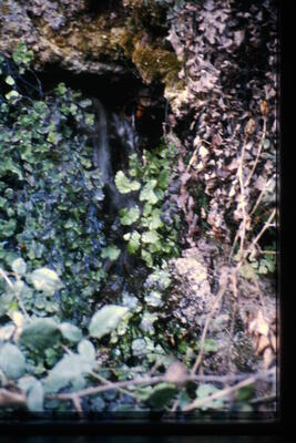 Fuente de las Calenturas de Abajo I - imagen 2