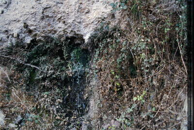 Fuente de las Calenturas de Abajo I - imagen 1