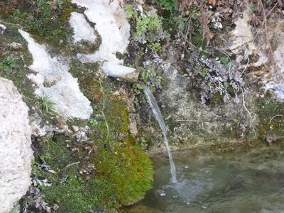Fuente de las Calenturas de Arriba I - imagen 3