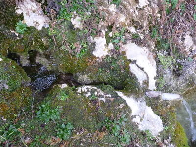 Fuente de las Calenturas de Arriba I - imagen 4