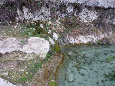 Fuente de las Calenturas de Arriba I - imagen 2