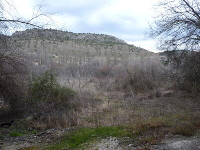 Fuente de las Calenturas de Arriba I - imagen 10