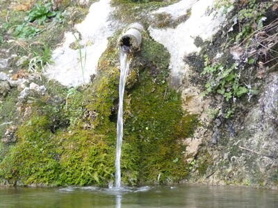 Fuente de las Calenturas de Arriba I - imagen 9