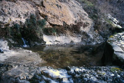 Fuente de las Calenturas de Arriba II - imagen 6