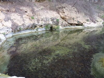 Fuente de las Calenturas de Arriba II - imagen 5