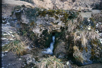 Fuente de las Calenturas de Arriba II - imagen 8