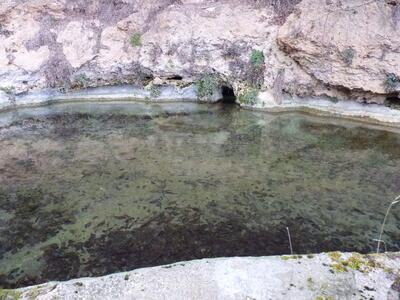 Fuente de las Calenturas de Arriba II - imagen 3