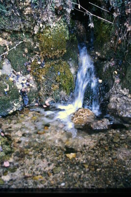 Fuente de las Calenturas de Arriba II - imagen 7