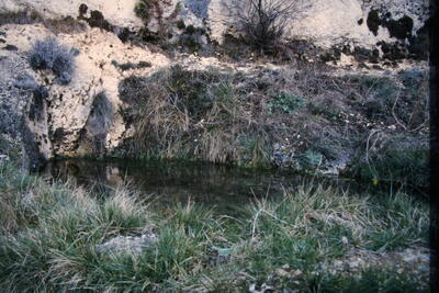 El Chorrillo - imagen 5