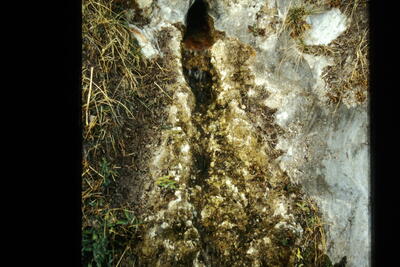 El Chorrillo - imagen 2