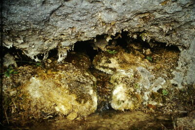 El Chorrillo - imagen 3
