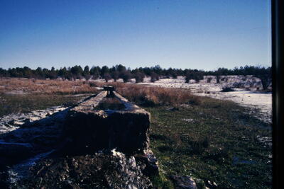Fuente del Pozuelo (abajo) - imagen 2