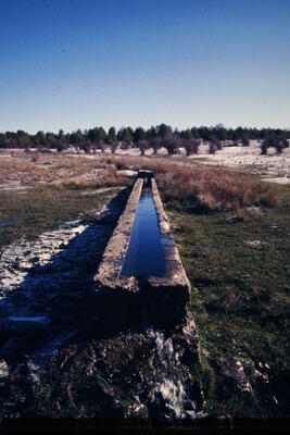 Fuente del Pozuelo (abajo) - imagen 1