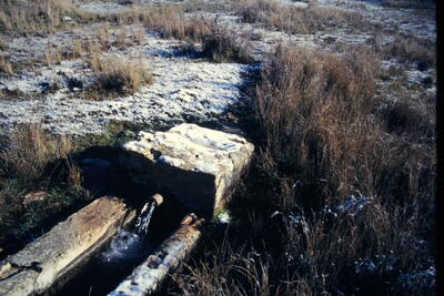 Fuente del Pozuelo (abajo) - imagen 4