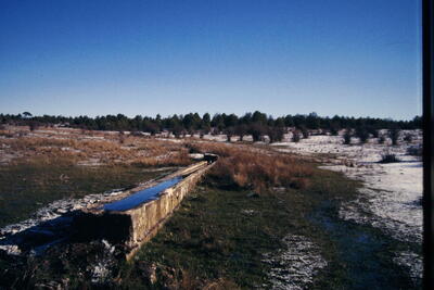 Fuente del Pozuelo (abajo) - imagen 3